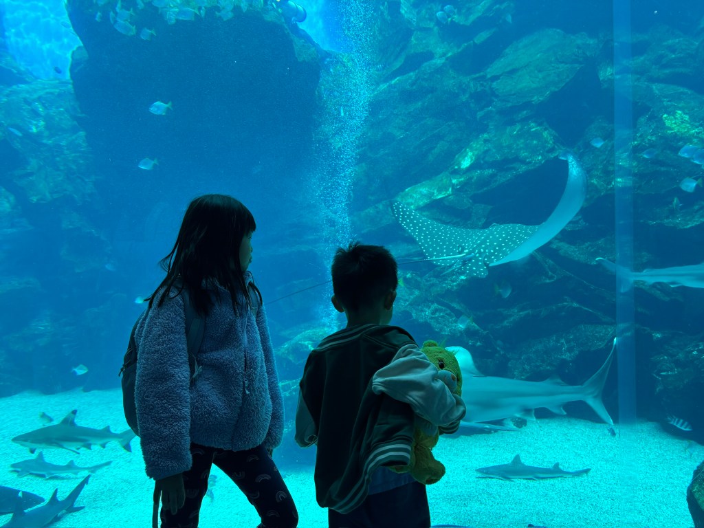 7D6N in Taiwan: X-Park & Gloria Outlets (Taoyuan)