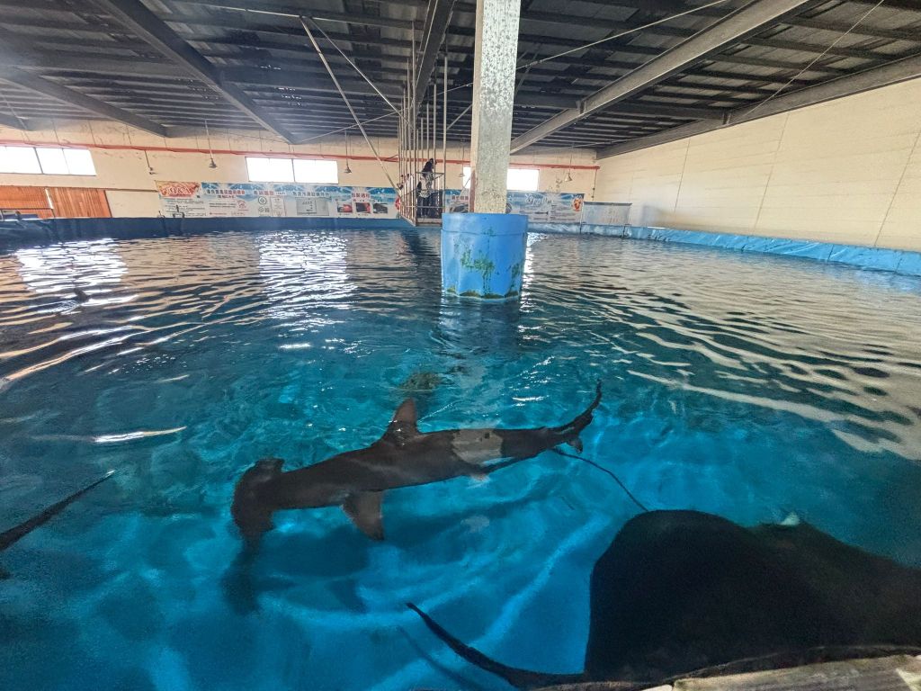 7D6N in Taiwan: King Car Biotechnology Aquaculture Science Center & Wen Yao Chicken (Jiaoxi)